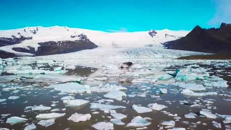 Langsame-Luftaufnahmen-über-Die-Massive-Gletscherlagune,-Die-Mit-Eisbergen-Bei-Fjallsarlon-Island-Gefüllt-Ist,-Deutet-Auf-Globale-Erwärmung-Und-Klimawandel-Hin-12