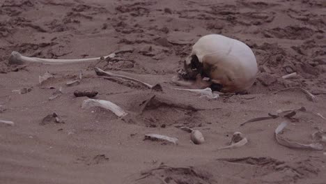 Skelettreste-Des-Menschlichen-Skeletts-Liegen-Im-Sand-Entlang-Eines-Abgelegenen-Teils-Der-Skelettküste-Atlantik-Namibia-Afrika
