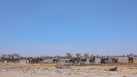 Un-Gran-Grupo-De-Elefantes-Africanos-Se-Bañan-Y-Chapotean-En-Un-Abrevadero-En-El-Parque-Nacional-De-Etosha,-Namibia,-África