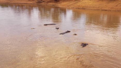 Muy-Buena-Antena-Sobre-Un-Abrevadero-Con-Un-Grupo-De-Hipopótamos-Bañándose-En-El-Parque-Erindi-Namibia-África