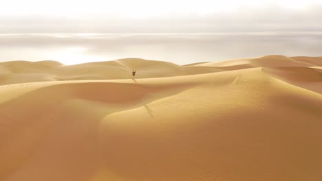 Antenne-über-Einem-Weiblichen-Frauenmodell,-Das-Auf-Den-Schönen-Sanddünen-Der-Namibwüste-In-Namibia-Mit-Dem-Skelettküstenhintergrund-Steht-2