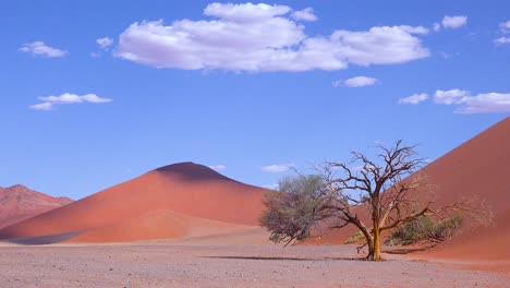 Erstaunlicher-Zeitraffer-Von-Wolken,-Die-Sich-über-Düne-45-Bewegen-Eine-Massive-Sanddüne-In-Der-Namib-Naukluft-Wüste-Namibia-1