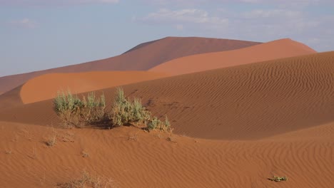 Establishing-shot-of-Namib-Naukluft-National-Park-in-the-Namib-desert-and-massive-sand-dunes-Namibia