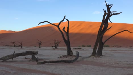 Árboles-Muertos-Siluetas-Al-Amanecer-En-Deadvlei-Y-Sossusvlei-En-Namib-Parque-Nacional-Naukluft-Desierto-De-Namib,-Namibia