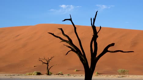 Tote-Bäume-Silhouette-Im-Morgengrauen-Bei-Deadvlei-Und-Sossusvlei-In-Namib-Naukluft-Nationalpark-Namib-Wüste-Namibia-6