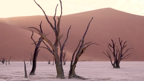 Erstaunliche-Tote-Bäume-Silhouette-Im-Morgengrauen-Bei-Deadvlei-Und-Sossusvlei-In-Namib-Naukluft-Nationalpark-Namib-Wüste-Namibia-1