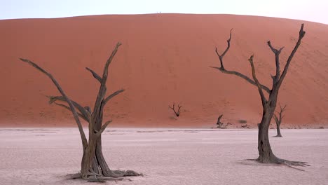Erstaunliche-Tote-Bäume,-Die-Im-Morgengrauen-Bei-Deadvlei-Und-Sossusvlei-Im-Namib-Naukluft-Nationalpark-Silhouetten-In-Der-Namib-Wüste-Namibia-Wanderer-Entfernt