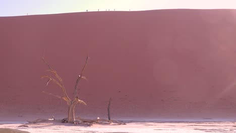Erstaunliche-Tote-Bäume-Im-Morgengrauen-Bei-Deadvlei-Und-Sossusvlei-In-Namib-Naukluft-Nationalpark-Silhouette-Der-Namib-Wüste-Namibia-Wanderer-Entfernt-1