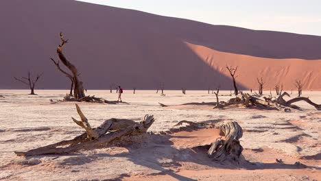 Touristen-Gehen-In-Der-Nähe-Von-Toten-Bäumen,-Die-Im-Morgengrauen-Bei-Deadvlei-und-Sossusvlei-In-Der-Namib-Naukluft-Nationalpark-Namib-Wüste-Namibias-Silhouetten-Darstellen