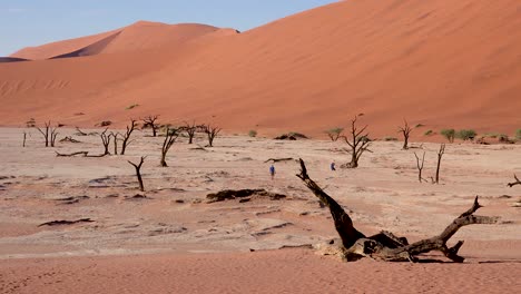 Touristen-Gehen-In-Der-Nähe-Von-Toten-Bäumen,-Die-Im-Morgengrauen-Bei-Deadvlei-Und-Sossusvlei-In-Der-Namib-Naukluft-Nationalpark-Silhouette-In-Der-Namib-Wüste-Namibia-2