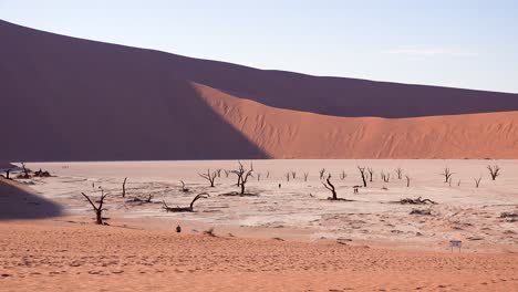 Touristen-Gehen-In-Der-Nähe-Von-Toten-Bäumen,-Die-Im-Morgengrauen-Bei-Deadvlei-Und-Sossusvlei-In-Der-Namib-Naukluft-Nationalpark-Silhouette-In-Der-Namib-Wüste-Namibias-Stehen