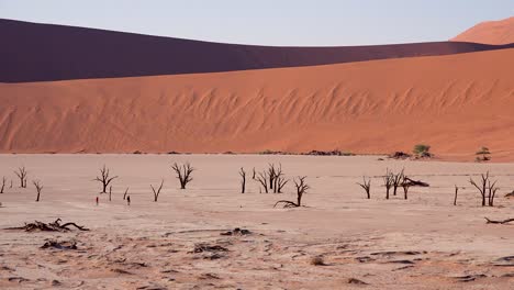 Touristen-Gehen-In-Der-Nähe-Von-Toten-Bäumen,-Die-Im-Morgengrauen-Bei-Deadvlei-Und-Sossusvlei-In-Der-Namib-Naukluft-Nationalpark-Silhouette-In-Der-Namib-Wüste-Namibia-4
