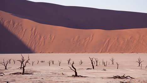 Touristen-Gehen-In-Der-Nähe-Von-Toten-Bäumen,-Die-Im-Morgengrauen-Bei-Deadvlei-Und-Sossusvlei-In-Der-Namib-Naukluft-Nationalpark-Silhouette-Der-Namib-Wüste-Namibias-5