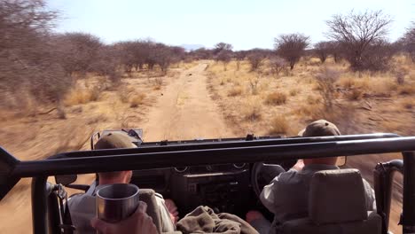 Pov-Shot-Desde-Un-Jeep-Safari-En-Movimiento-Rápido-En-Las-Llanuras-De-África-Erindi-Park-Namibia