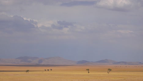Lapso-De-Tiempo-De-Nubes-Moviéndose-Sobre-Los-áridos-Pastizales-árboles-De-Acacia-Y-Llanuras-De-Sabana-De-Namibia
