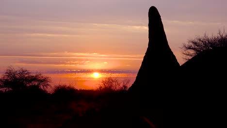 Ein-Wunderschöner-Sonnenuntergang-Oder-Sonnenaufgang-Hinter-Einem-Riesigen-Termitenhügel-Definiert-Eine-Klassische-Afrikanische-Safari-Szene-In-Namibia