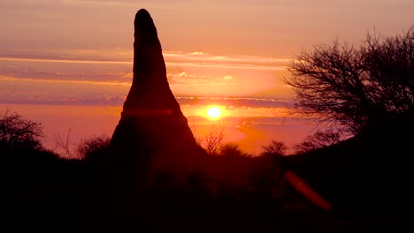 Ein-Wunderschöner-Sonnenuntergang-Oder-Sonnenaufgang-Hinter-Einem-Riesigen-Termitenhügel-Definiert-Eine-Klassische-Afrikanische-Safari-Szene-In-Namibia-1
