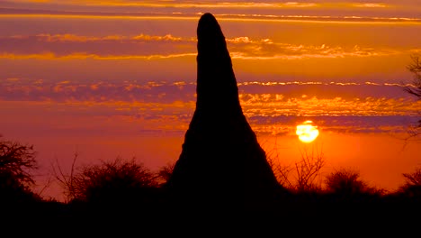 Ein-Wunderschöner-Sonnenuntergang-Oder-Sonnenaufgang-Hinter-Einem-Riesigen-Termitenhügel-Definiert-Eine-Klassische-Afrikanische-Safari-Szene-In-Namibia-2