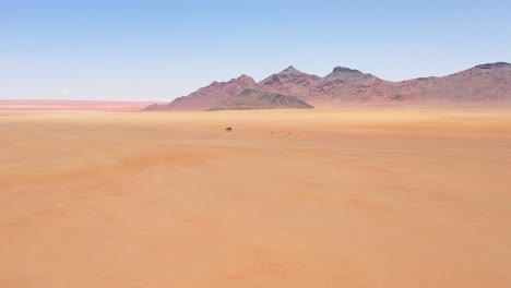 Antena-De-Un-Solo-árbol-Solitario-Sentado-En-Medio-Del-Desierto-De-Namib,-Namibia