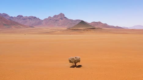Antenne-Eines-Einzelnen-Einsamen-Baumes,-Der-Mitten-In-Der-Namibwüste-Namibias-Sitzt-1