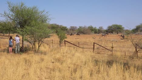 Touristen-Fotografieren-Wild-Lebende-Tiere-In-Den-Ebenen-Afrikas-Aus-Der-Sicherheit-Eines-Elektrozauns-Erindi-Wildreservat-Namibia