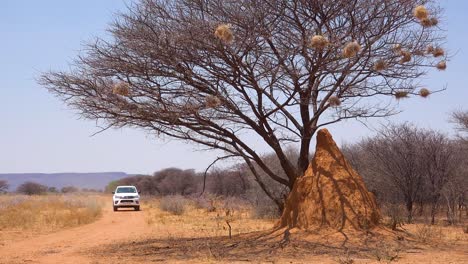 Ein-Toyota-Hi-Lux-Safari-Fahrzeug-Passiert-Auf-Safari-In-Namibia-Einen-Hohen-Termitenhügel