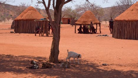 Kleines-Armes-Afrikanisches-Himba-Dorf-An-Der-Grenze-Von-Namibia-Zu-Angola-Mit-Lehmhütten,-Ziegen-Und-Kindern
