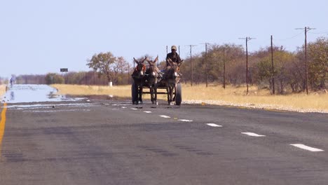 Ein-Eselskarren-Fährt-Mit-Steigender-Hitze-Eine-Asphaltierte-Straße-In-Der-Wüste-Namibias-Entlang