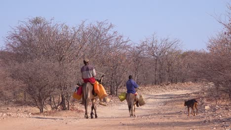 Zwei-Himba-Männer-Reiten-Esel-Entlang-Einer-Staubigen-Straße-In-Afrika-Damaraland-Namibia-Und-Bringen-Wasser-In-Abgelegene-Dörfer-1