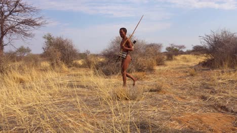 Un-Cazador-De-Bosquimanos-De-San-Caminando-En-La-Sabana-Más-Allá-Del-Cráneo-De-Un-Animal-Un-Cazador-Indígena-Africano