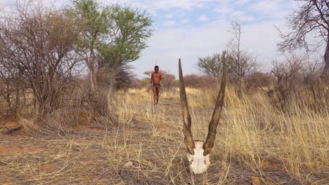 Un-Cazador-De-Bosquimanos-De-San-Caminando-En-La-Sabana-Más-Allá-Del-Cráneo-De-Un-Animal-Un-Cazador-Indígena-Africano-1