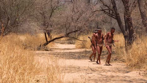 San-tribal-bushman-hunters-in-Namibia-Africa-walk-quiety-sniff-the-air-and-sample-the-soil-for-wind-direction-hunting-for-prey