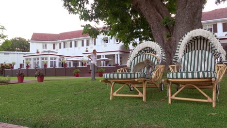 Vervet-monkeys-play-on-lawn-furniture-on-the-grounds-of-the-elegant-and-luxurious-Victoria-Falls-Hotel-1