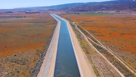 Aerial-of-the-California-aqueduct-surrounded-by-fields-of-wildflowers-and-poppy-flowers-Mojave-Desert-2
