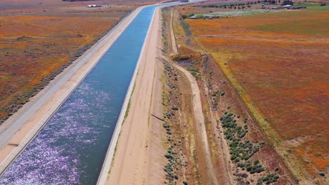 Aerial-of-the-California-aqueduct-surrounded-by-fields-of-wildflowers-and-poppy-flowers-Mojave-Desert-5