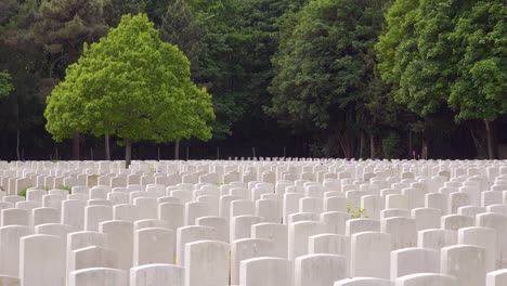 Establishing-shot-headstones-of-the-Etaples-France-World-War-cemetery-military-graveyard-and-headstones-of-soldiers-2
