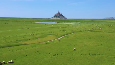 Beautiful-daytime-aerial-over-fields-of-sheep-and-farm-grass-with-Mont-Saint-Michel-monastery-in-Normandy-France-background-1