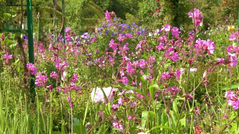 Las-Flores-Crecen-En-El-Jardín-De-Claude-Monet-En-Giverny-Francia