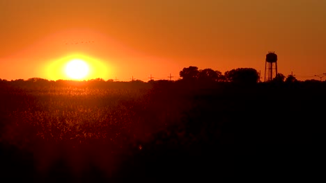 Sonnenuntergang-über-Baumwollfeldern-In-Einer-Kleinen-Stadt-Im-Süden-Von-Mississippi-Mit-Fliegenden-Zugvögeln-Und-Wasserturm