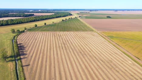 Luftaufnahmen-über-Weite-Baumwollfelder-Entlang-Des-Mississippi-Im-Tiefen-Süden