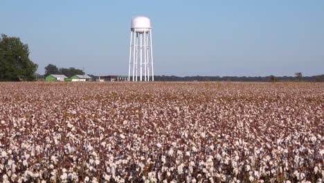 Blick-über-Ein-Großes-Baumwollfeld-Mit-Einem-Unmarkierten-Wassertank-Und-Einer-Kleinen-Stadt-In-Der-Nähe-Von-Greenville-Mississippi