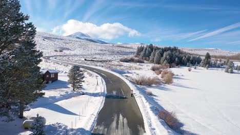 2020---Antenne-Einer-Gesäuberten-Frau,-Die-Hund-Entlang-Der-Schneebedeckten-Bergstraße-In-Den-östlichen-Sierra-Nevada-Bergen-In-Der-Nähe-Der-Mammut-Lakes-Kalifornien-Geht