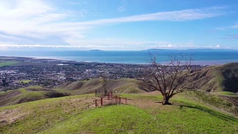 2020:-Vista-Aérea-Sobre-Las-Verdes-Colinas-Y-Montañas-De-La-Costa-Del-Pacífico-Detrás-De-Ventura-California,-Incluidos-Dos-árboles-Emblemáticos-1