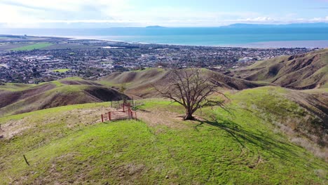 2020---Vista-Aérea-Sobre-Las-Verdes-Colinas-Y-Montañas-De-La-Costa-Del-Pacífico-Detrás-De-Ventura-California,-Incluidos-Dos-árboles-Emblemáticos-6