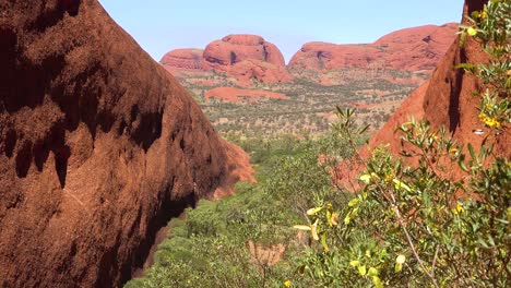 Good-establishing-shot-of-rock-formations-at-Kata-Tjuta-National-Park-in-Australia