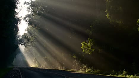 Sun-rays-shine-down-beautifully-onto-a-highway-or-road-2