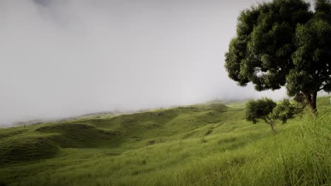 Time-lapse-of-clouds-and-fog-moving-over-green-fields-on-the-island-of-Molokai-Hawaii