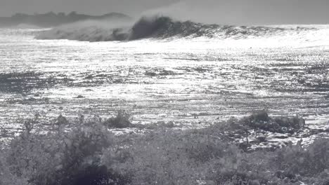 Blaue-Wellen-Rollen-In-Die-Küste-Von-Hawaii-1