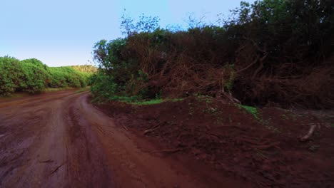 Pov-Shot-Conduciendo-Por-Un-Camino-De-Tierra-Roja-En-La-Isla-De-Lanai-En-Hawaii