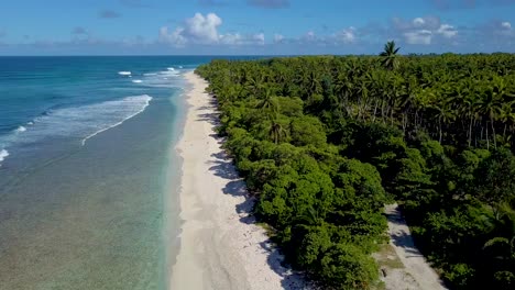 Endlose-Palmen--Oder-Kokospalmenhaine-Und-Wunderschöne-Strände-Auf-Dem-Inselparadies-Der-Insel-Teraina-Kiribati-Mikronesien-Pazifik-Inselnnes